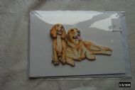 golden retrievers